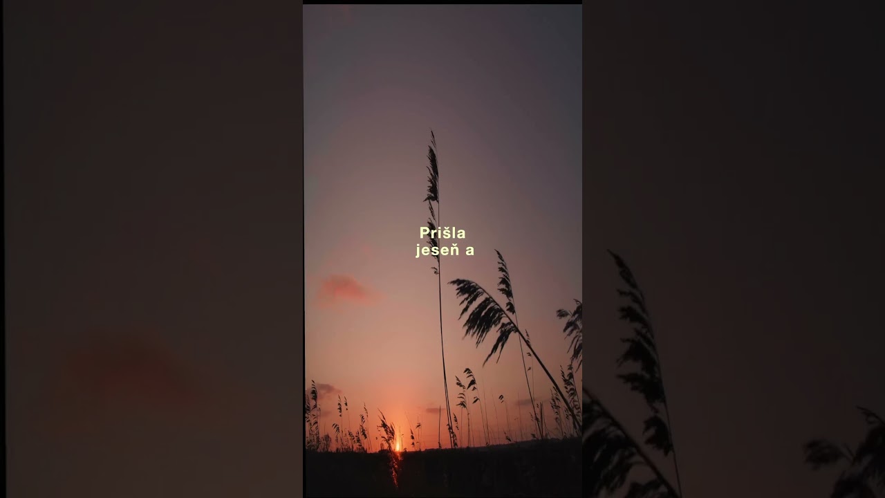 Song 