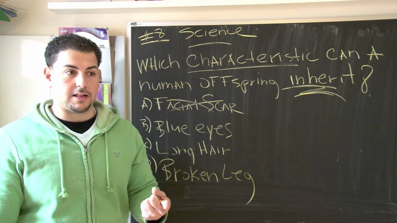 4th Grade New York State Science Test  8/30