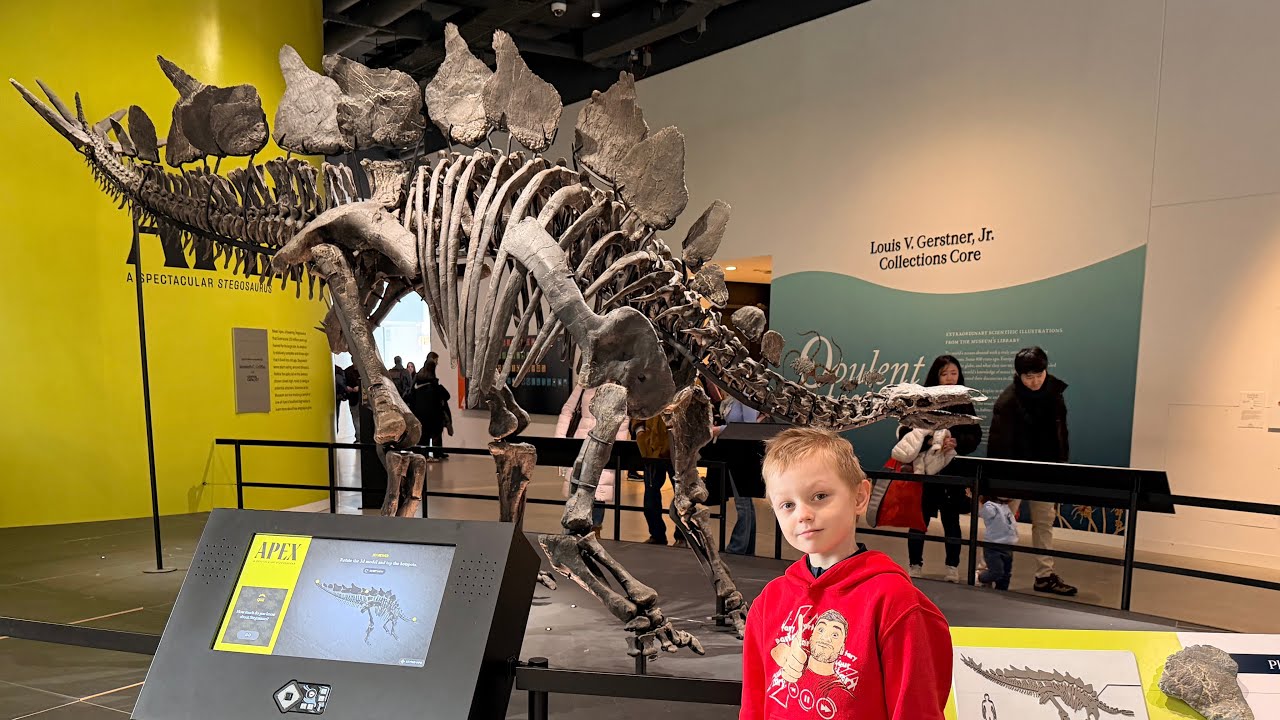 Bol som pozrieť American Museum of Natural History 2026✌🏻