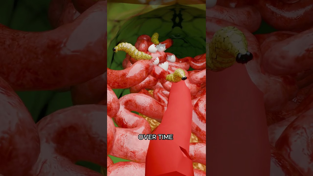 How Parasitic Wasp Affect Caterpillar 😲