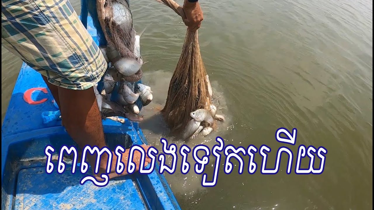 ល្មមលេងដែរបងប្អូន ២ម៉ោងកន្លះជិត១០គីឡូ Amazing Traditional Cast Net Fishing 2025 | #644
