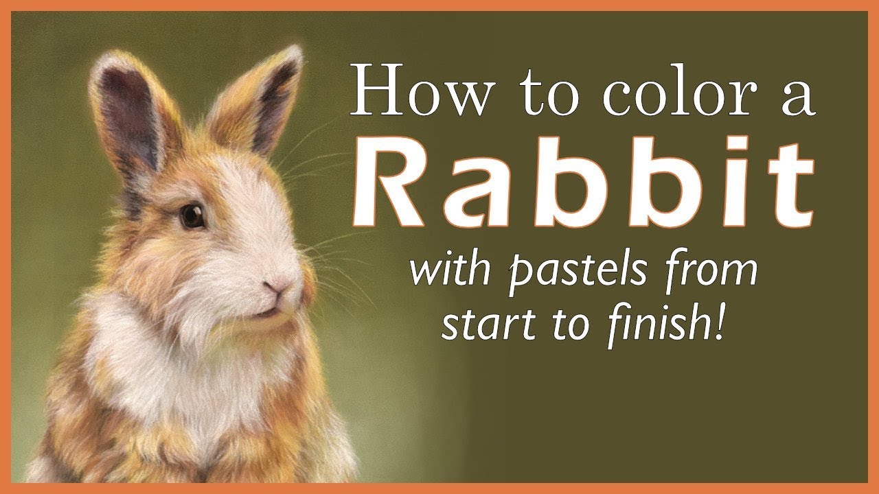 How to Color a Rabbit | Pastel Drawing Time-Lapse