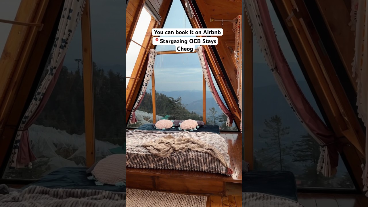 Beautiful Property near shimla for couple and solo travellers #hotels #solotravel #shimla
