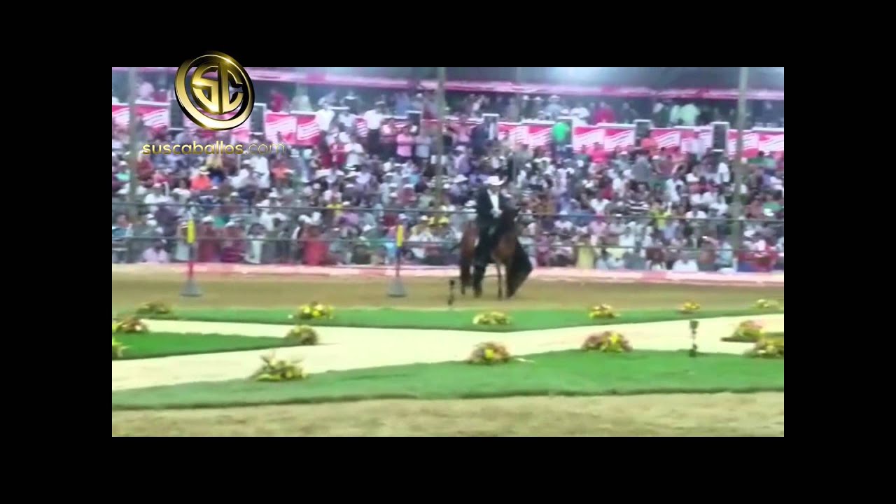 Tripleta De Santa Isabela, Feria de Flores 2015