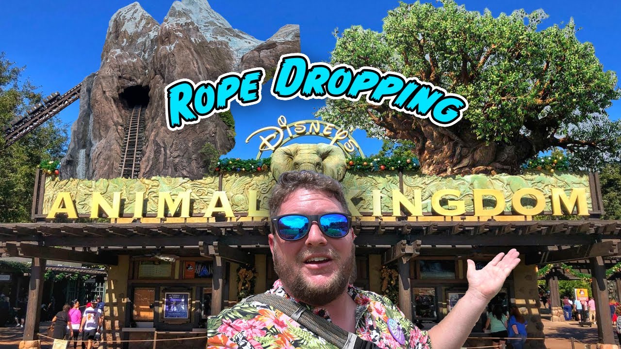 Rope Dropping Disneys Animal Kingdom | The Walker in Orlando