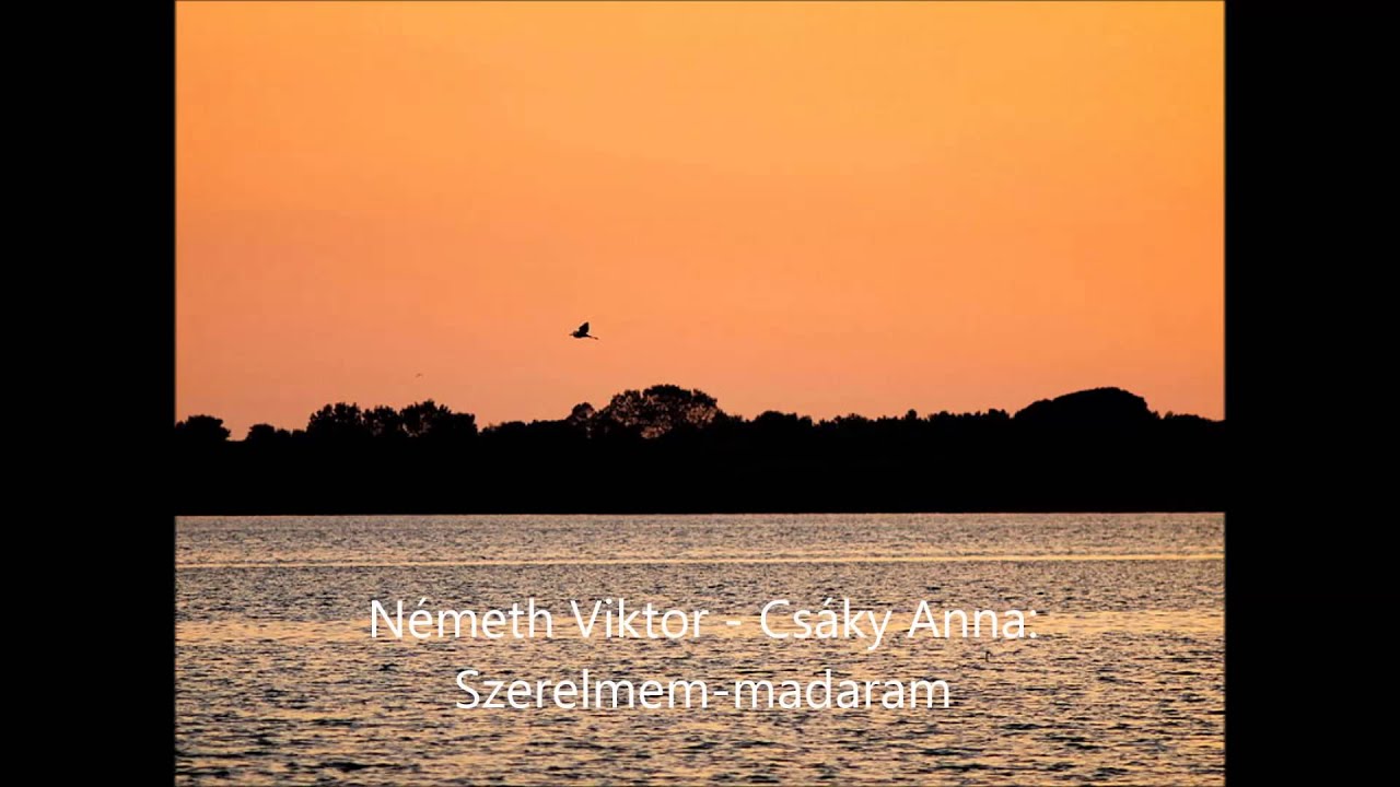 N&eacute;meth Viktor - Cs&aacute;ky Anna: Szerelmem-madaram