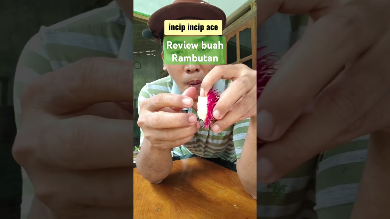 Incip incip ace #agrotoko  #reviewbuah #ace #rambutan