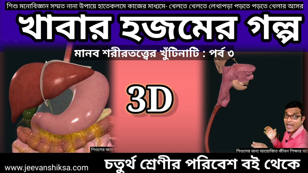 খাবার কীভাবে হজম হয় ? মানব পৌষ্টিকতন্ত্র : শরীরতত্ত্বের খুঁটিনাটি :পর্ব ১ : ৪র্থ শ্রেনীর পরিবেশ