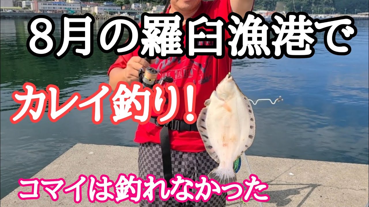 8月の羅臼漁港でカレイ釣り！