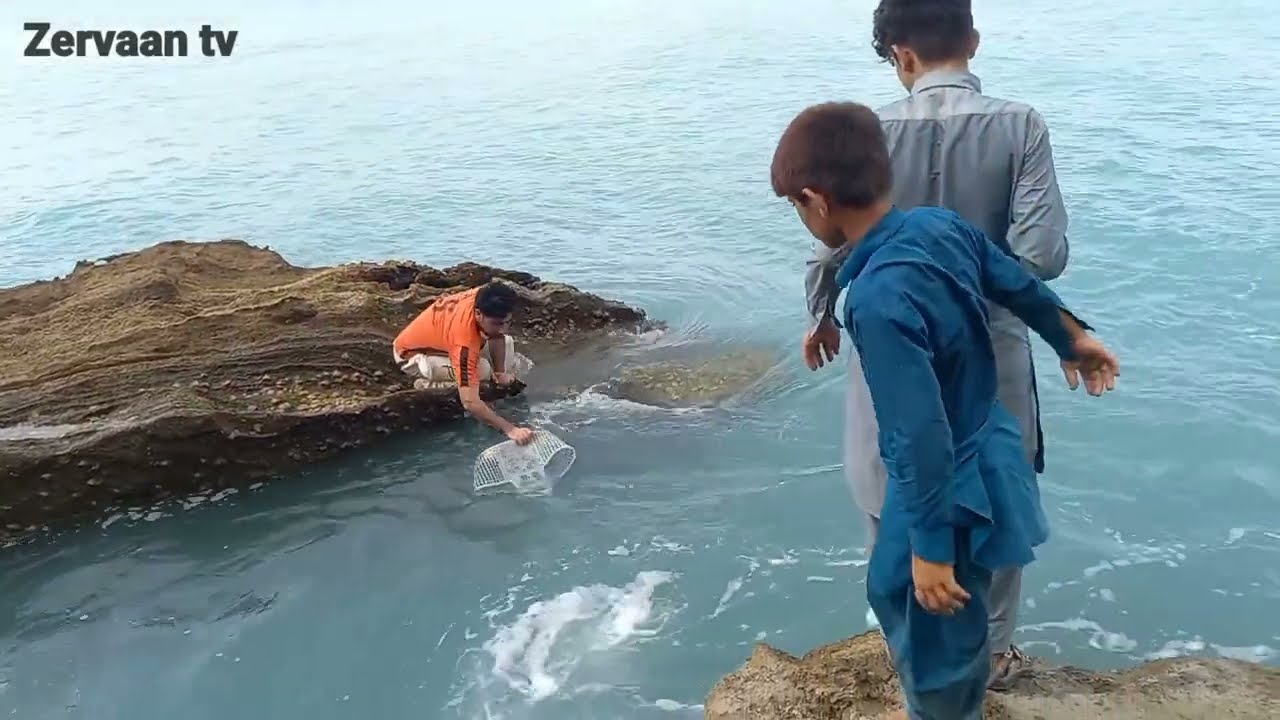 صید عروس ماهی و هامور از روی صخره ها / AMAZING FISHING WITH AZEEM
