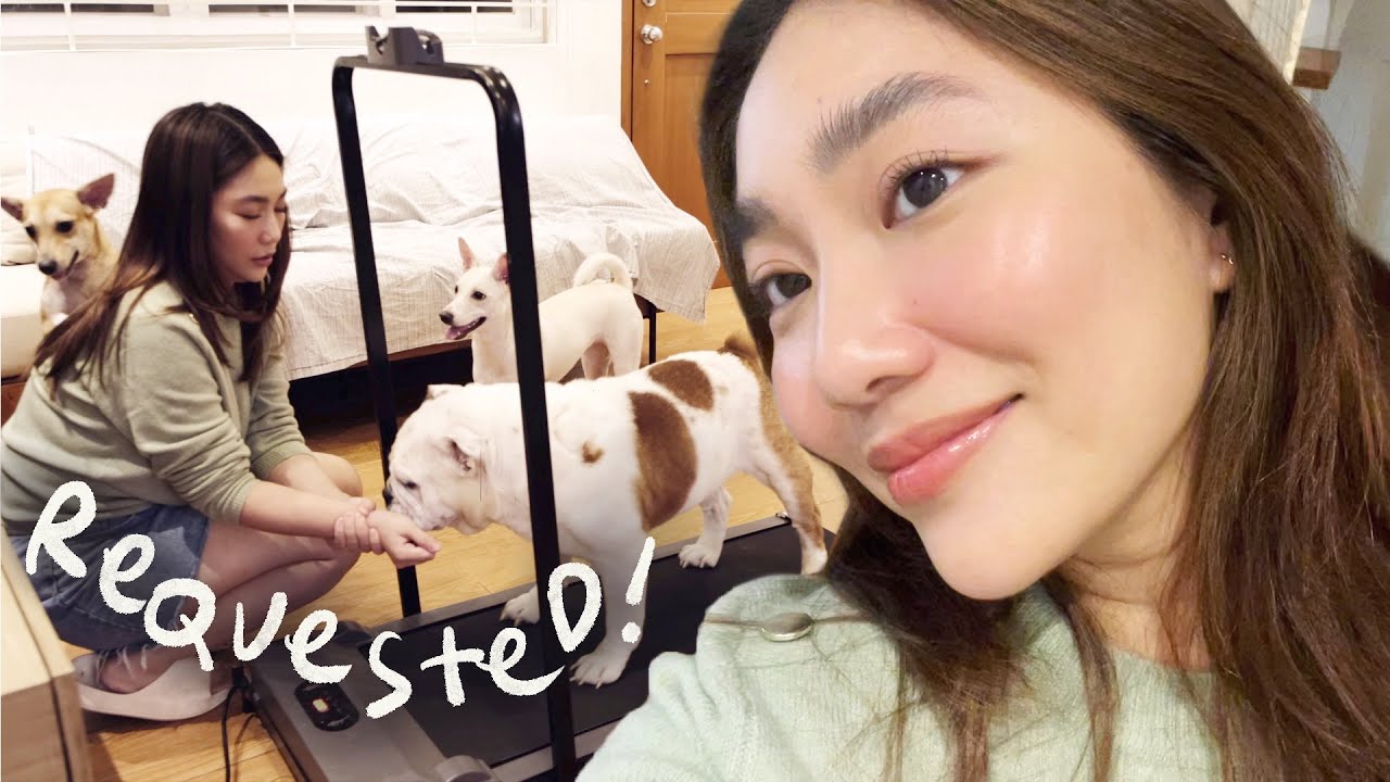 Natural & soft everyday look + a day with my dogs (as requested!) 🐶 | Raiza Contawi