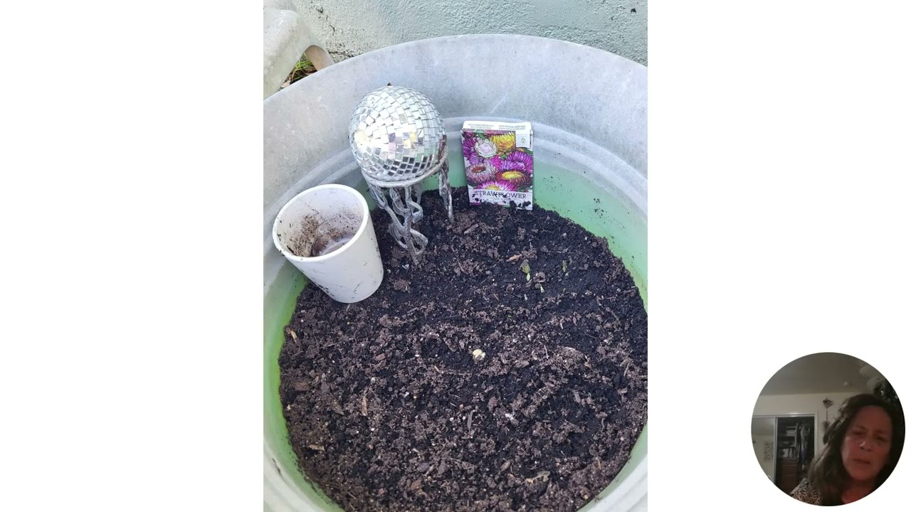 2026FunFact#20 Plants and Seeds Before
