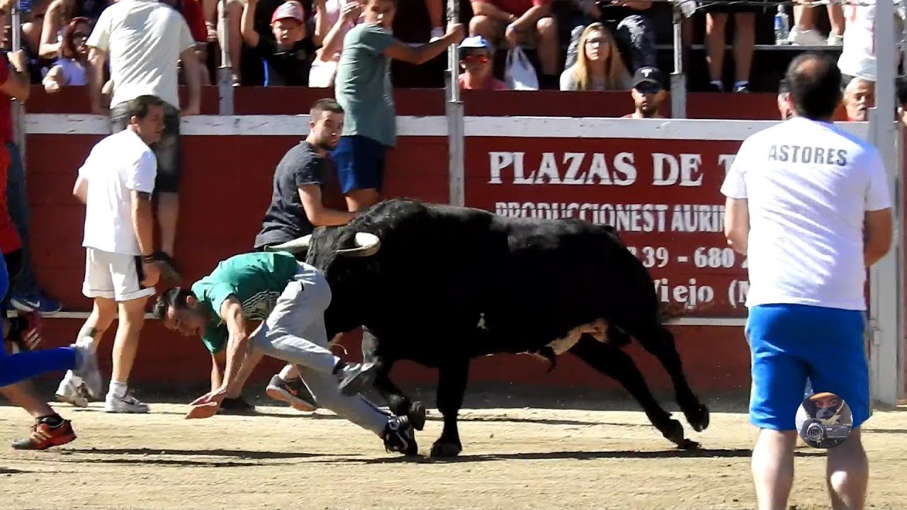 Encierro y capea en Villalba sábado 28 julio 2018