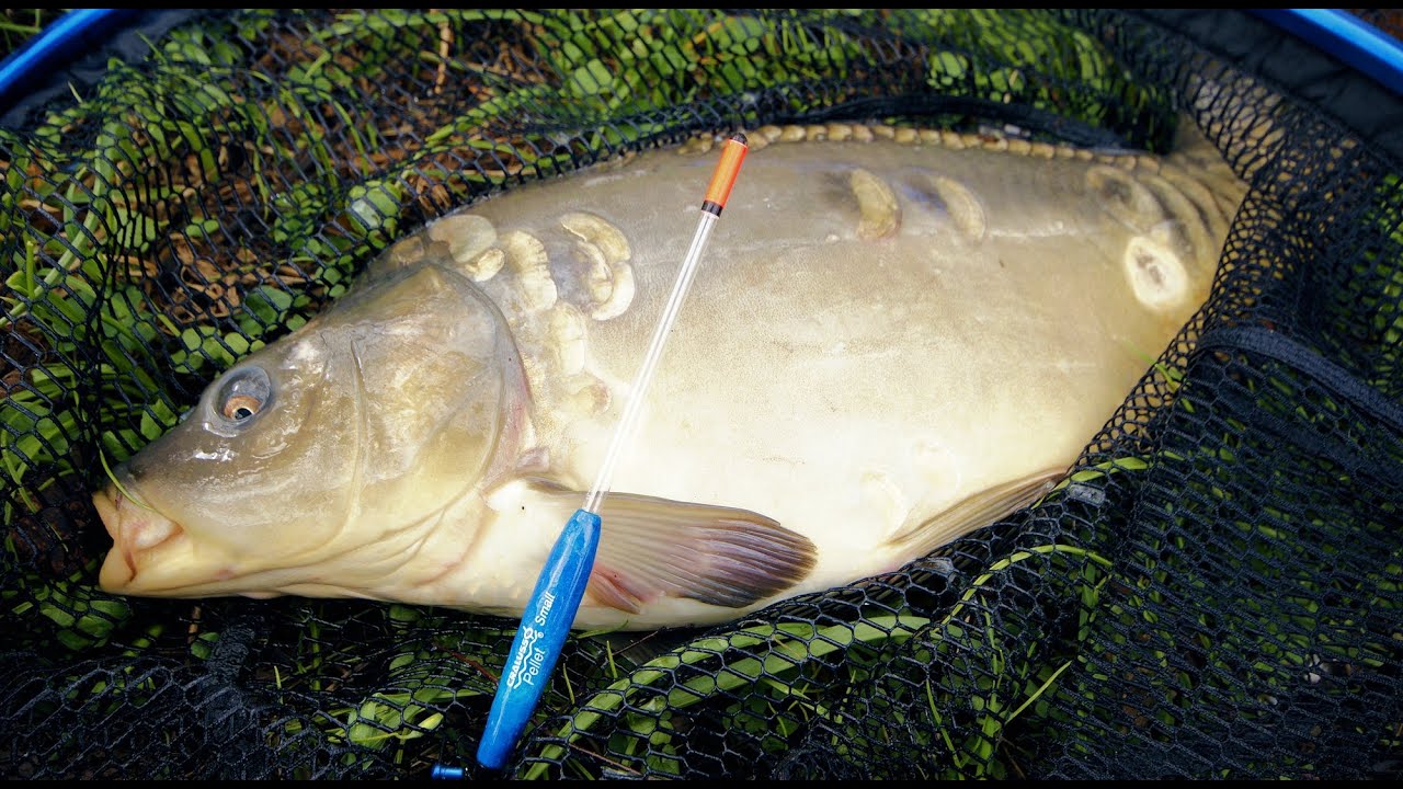 Pellet waggler