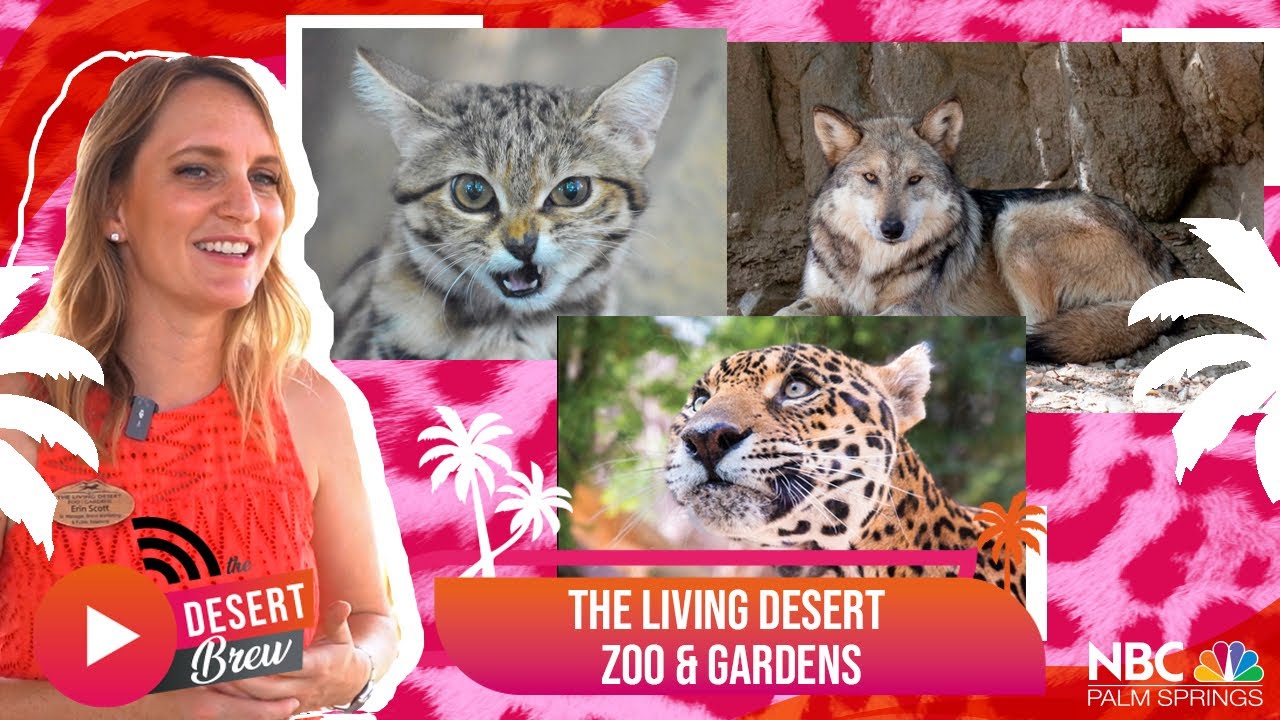 The Living Desert Zoo & Gardens | The Desert Brew