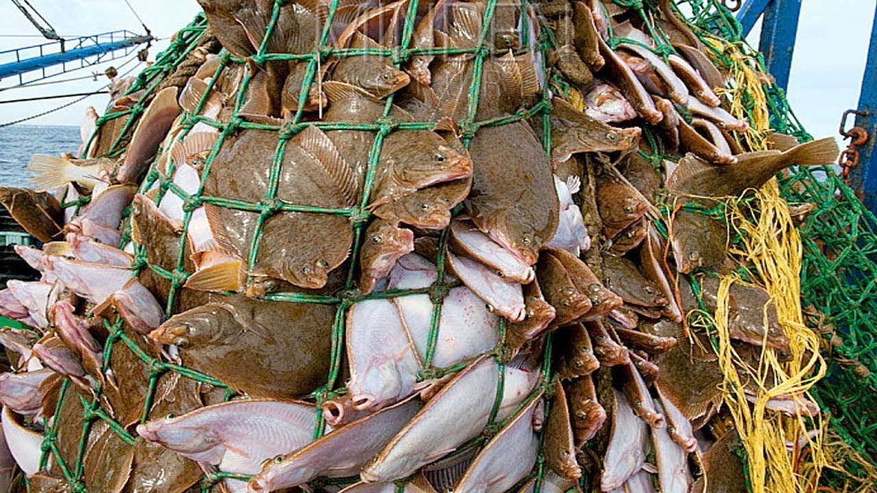 Удивительная рыбалка на большой улов в море - Самый быстрый поймать сотни тонн рыбы с большой лодки