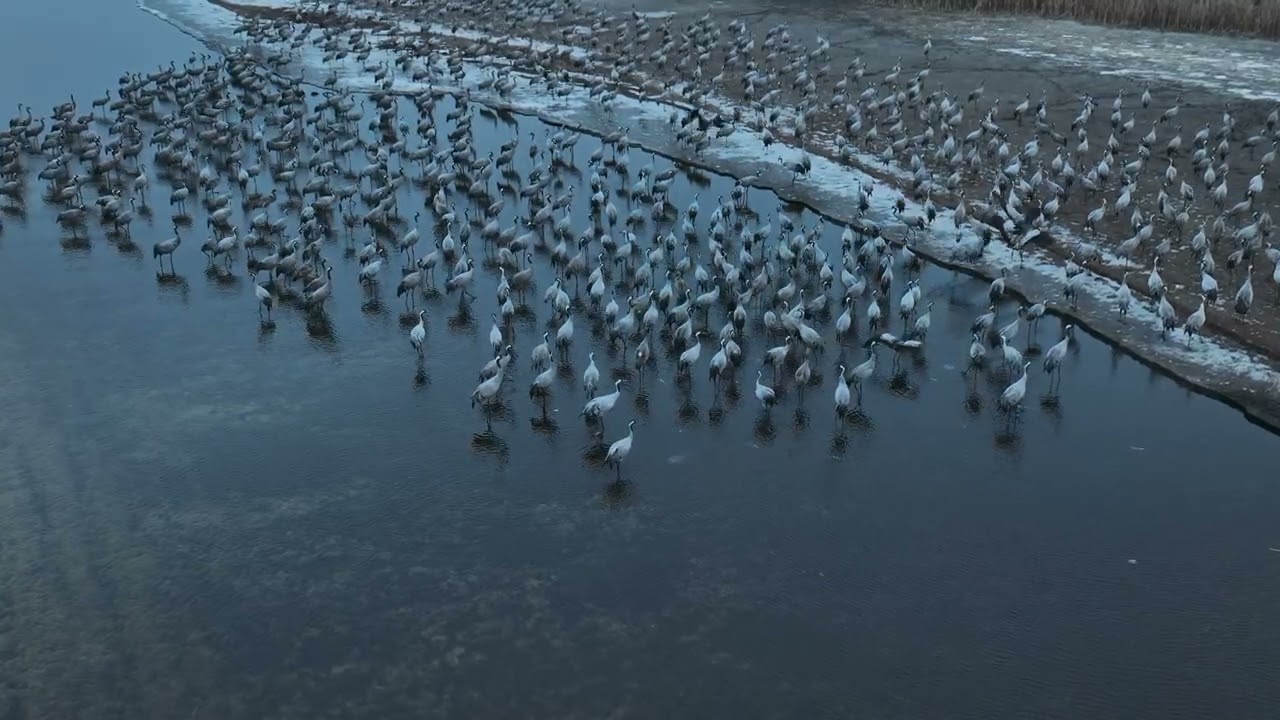 Zalew Gniewowo 