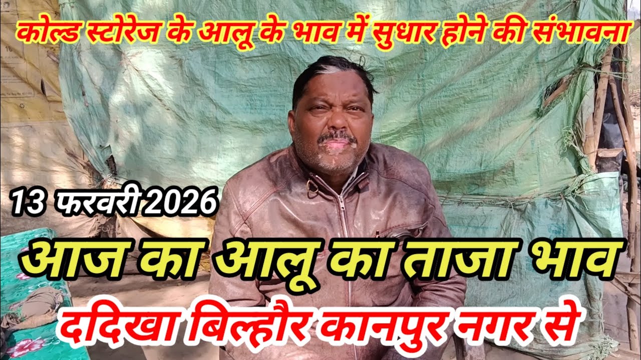 आज का आलू का ताजा भाव ददिखा बिल्हौर कानपुर नगर से 