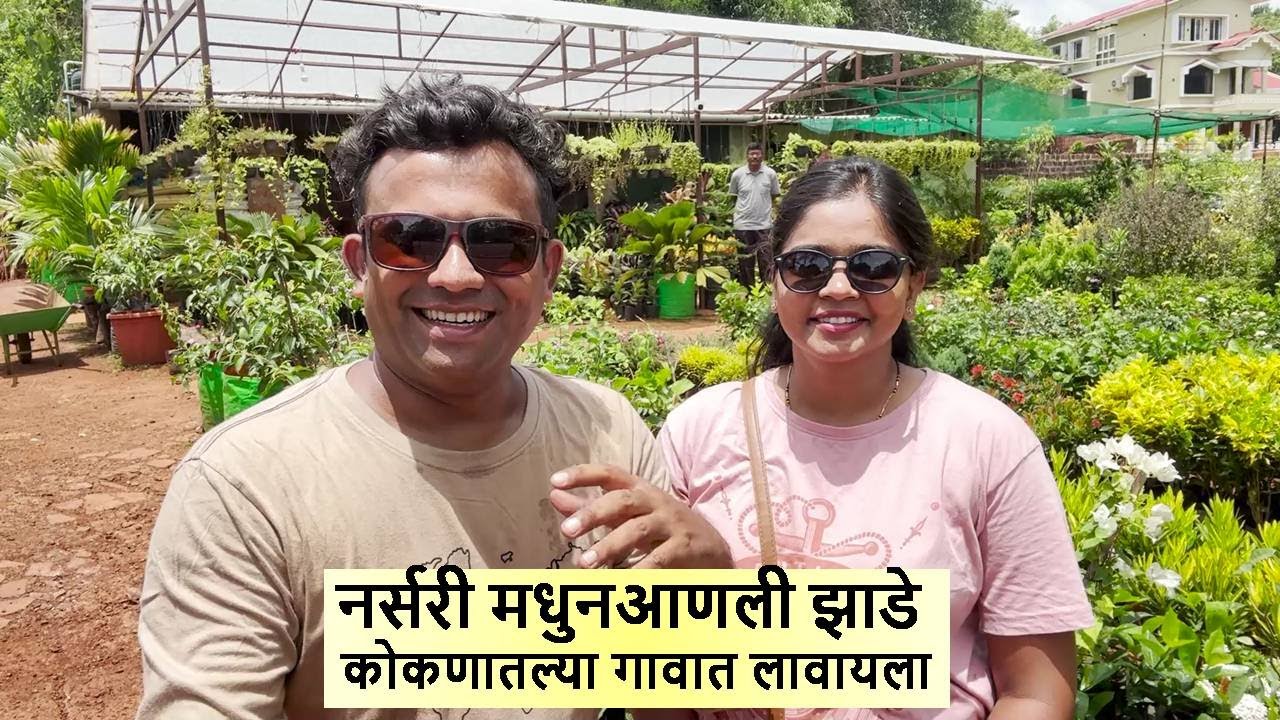 नर्सरी मधुनआणली झाडे कोकणातल्या गावात लावायला Nursery Shirgaon Devgad Konkan