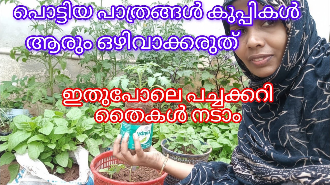 പൊട്ടിയ പാത്രങ്ങൾ കുപ്പികൾ ആരും ഒഴിവാക്കരുത് ഇതുപോലെ പച്ചക്കറി തൈകൾ നടാം🌱 vegetable garden 🌱🌱