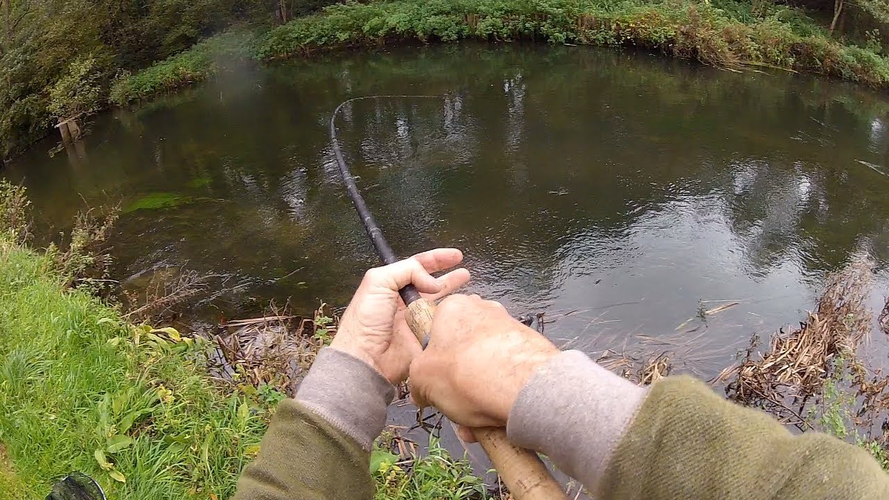 Float Fishing with Bread & Sweetcorn