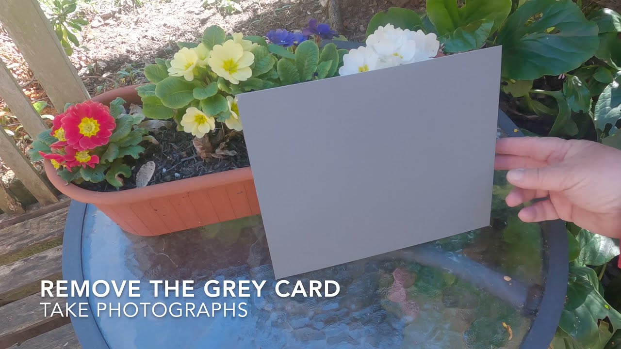 Grey card project