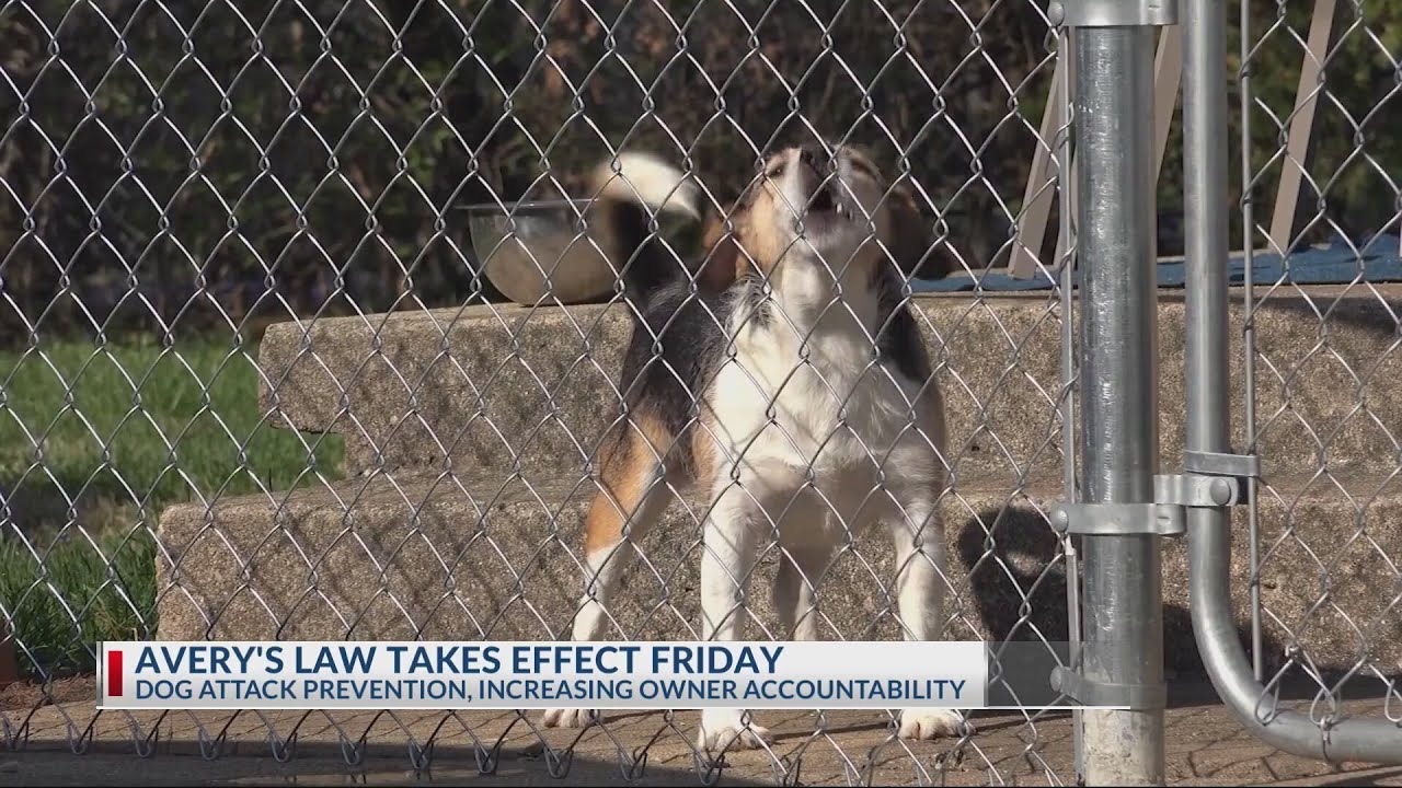 Ohio dog attack law set to take effect this week