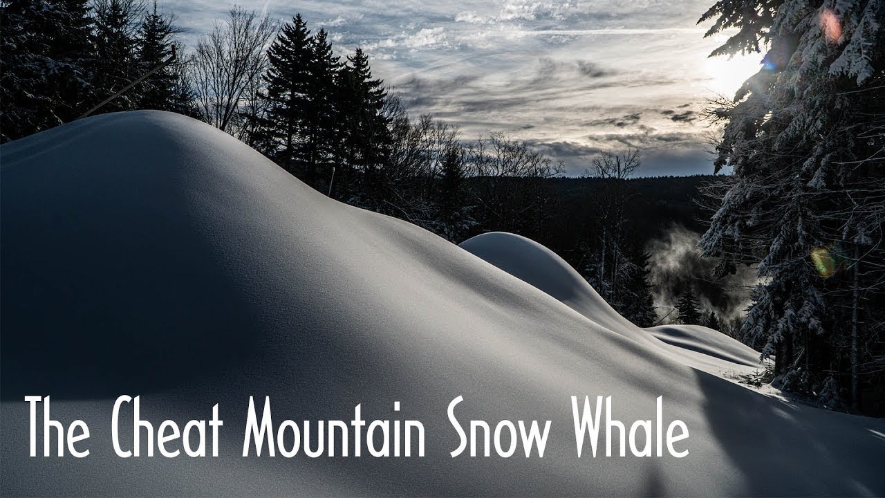 The Cheat Mountain Snow Whale