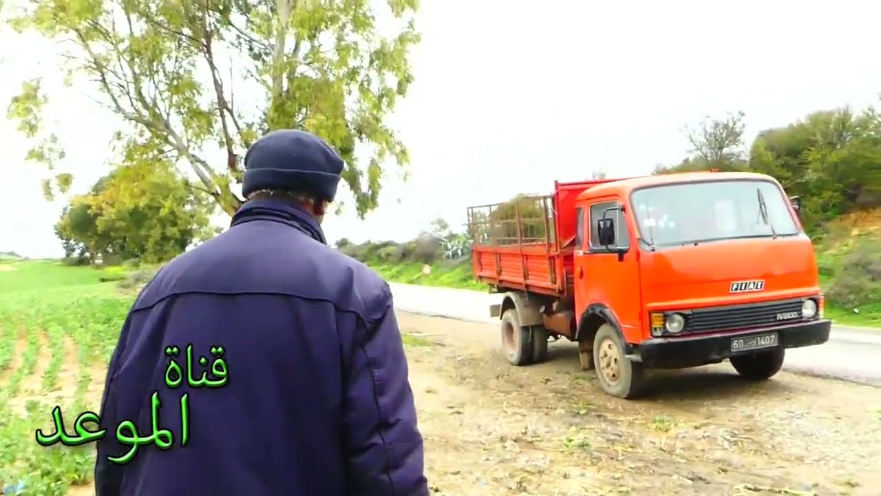 أرضي الكل مزروعة بالفول والشعير هزها الماء على خاطر تجهيز عملت قناطر ماء المطر صبىفي أرضي