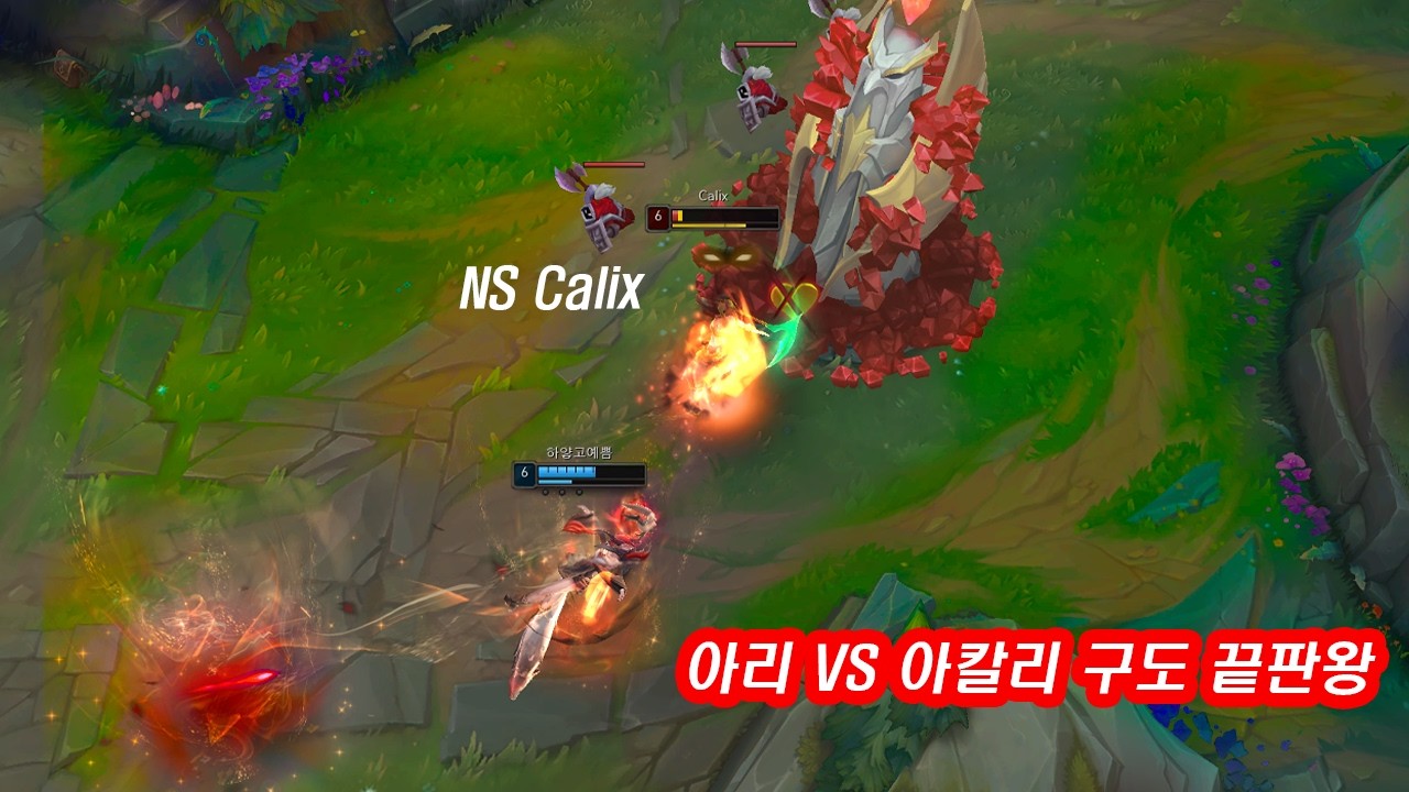 아리로 2챌린저 찍은 라인전 매판 이기는 방법