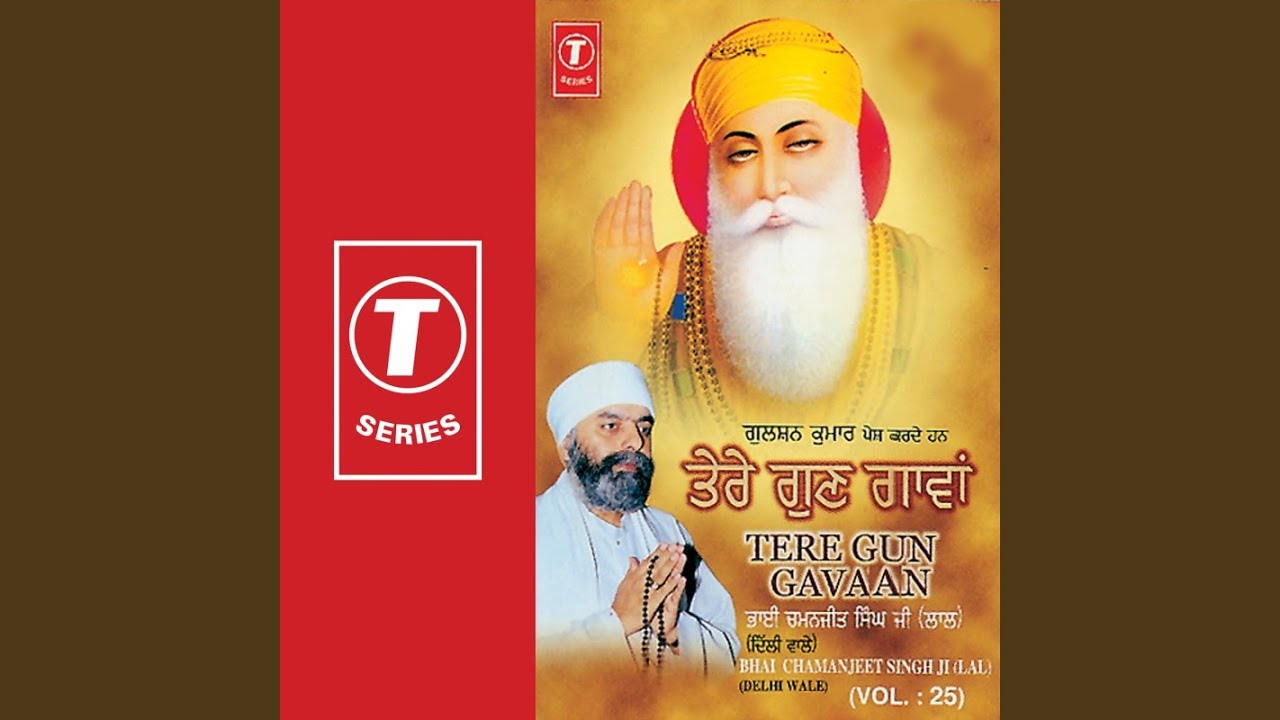 Tere Gun Gavaan