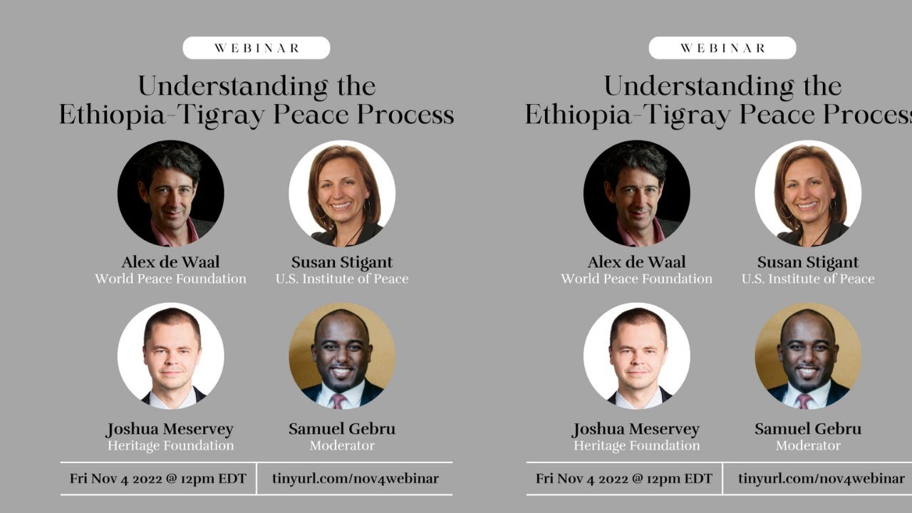 Teddy Press Understanding the Tigray-Ethiopia Peace Process