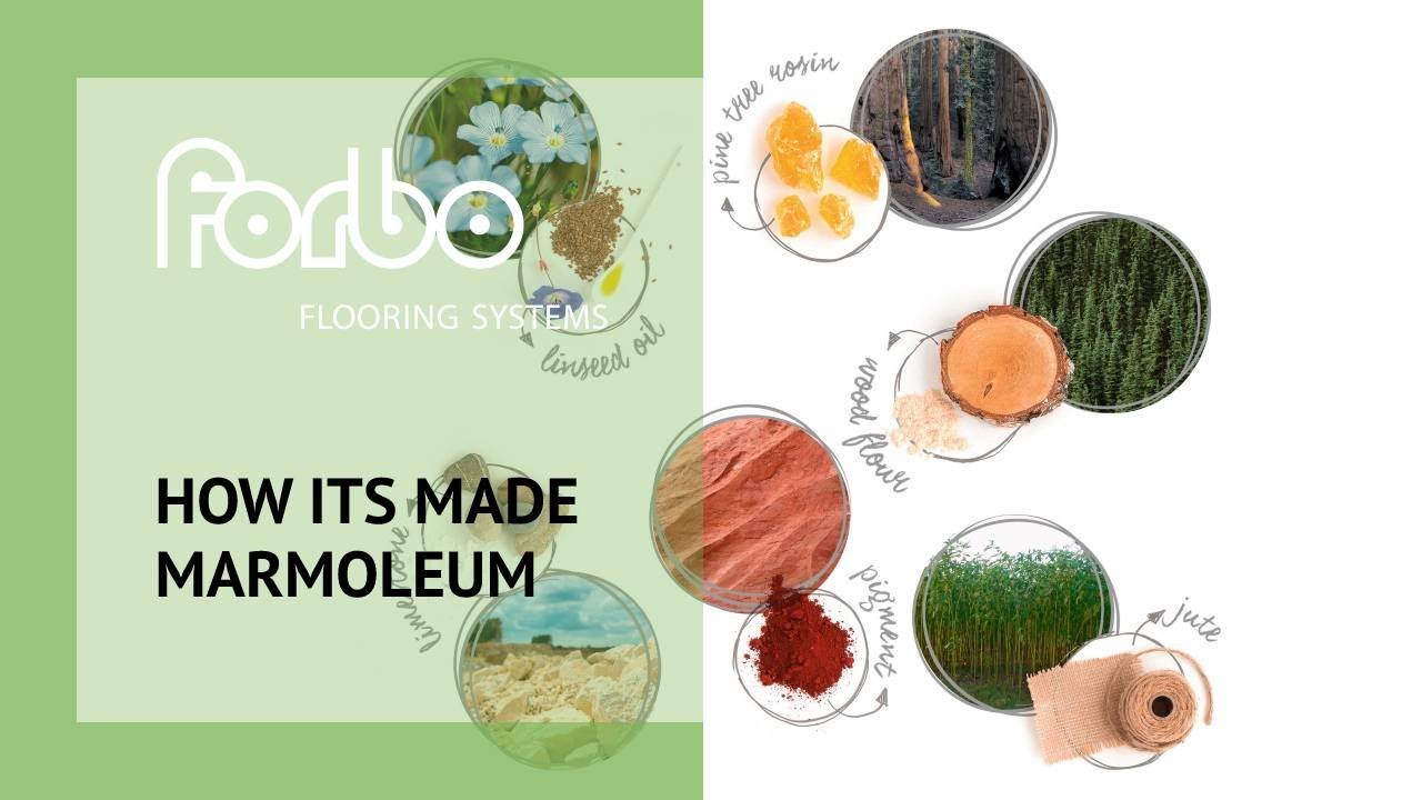 How It's Made: Linoleum  | Forbo Flooring Systems UK