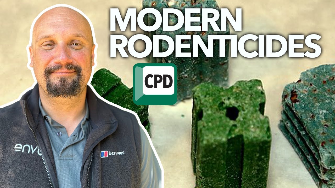 Modern rodenticides in focus