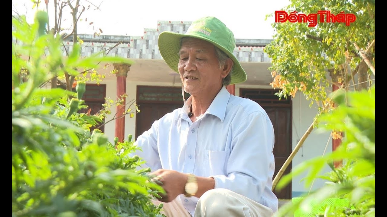 Xã Lai Vung: Xây dựng nông thôn mới kiểu mẫu từ “ý Đảng - lòng dân” | Báo Đồng Tháp Online