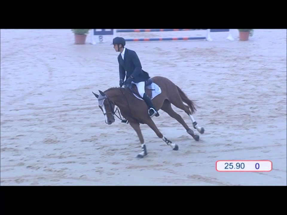 Gabriele Pina - Linite 5 anni - 1 prova Femmine - Finali Cavalli Giovani - Arezzo 2015