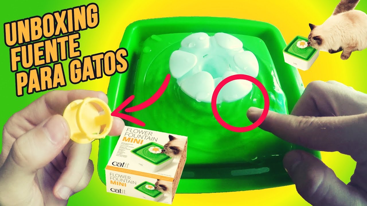 UNBOXING: Fuente bebedero para gatos 🚰🐱