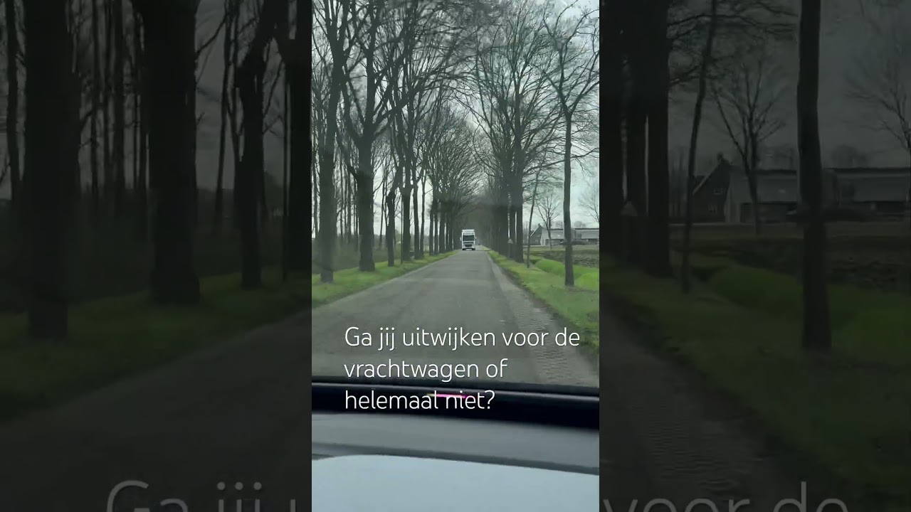 Ga jij uitwijken voor de vrachtwagen of helemaal niet?