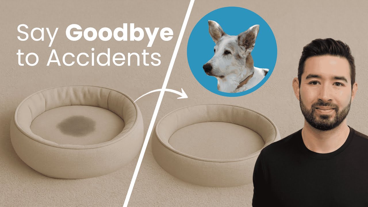 How I Finally Stopped My Dog’s Urinary Incontinence (using peptides)