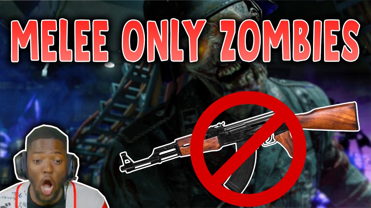 RDC PLAYS ZOMBIES WITH JUST HANDS!