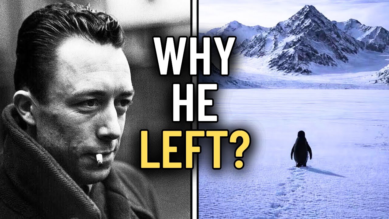 Why 50 Million People Relate To A Dying Penguin | Absurdism Explained