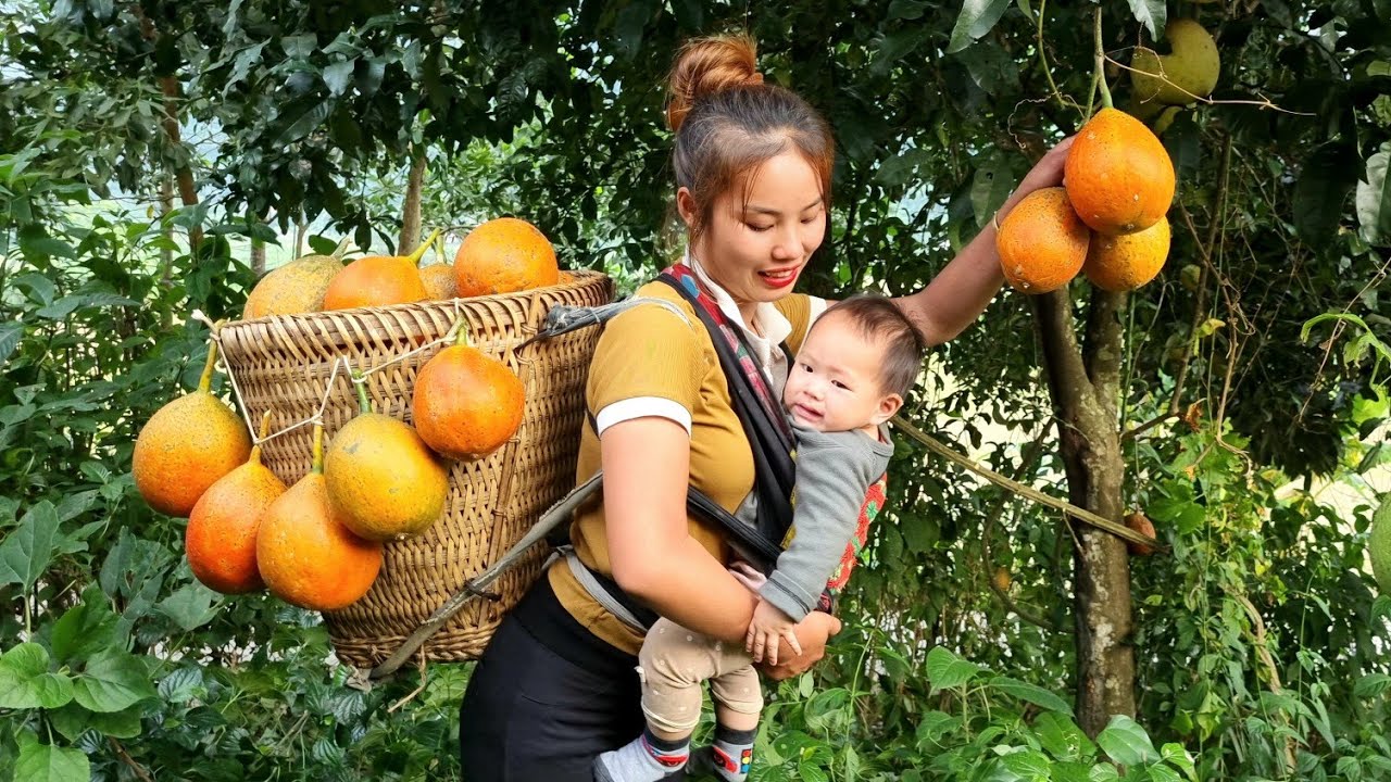 Duong and Be Harvest gac to sell at the market - Cook gac sticky rice to eat with Baby