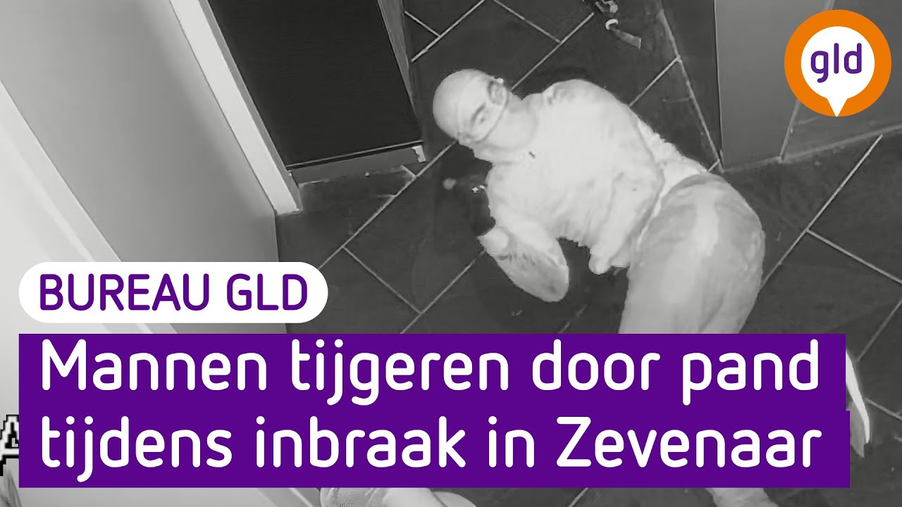 Mannen tijgeren door pand tijdens inbraak | Bureau GLD