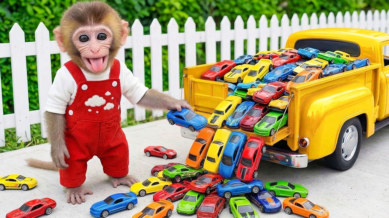 Monyet KH Mono Imut membeli mobil mainan warna warni di supermarket dan mendapat hadiah misterius