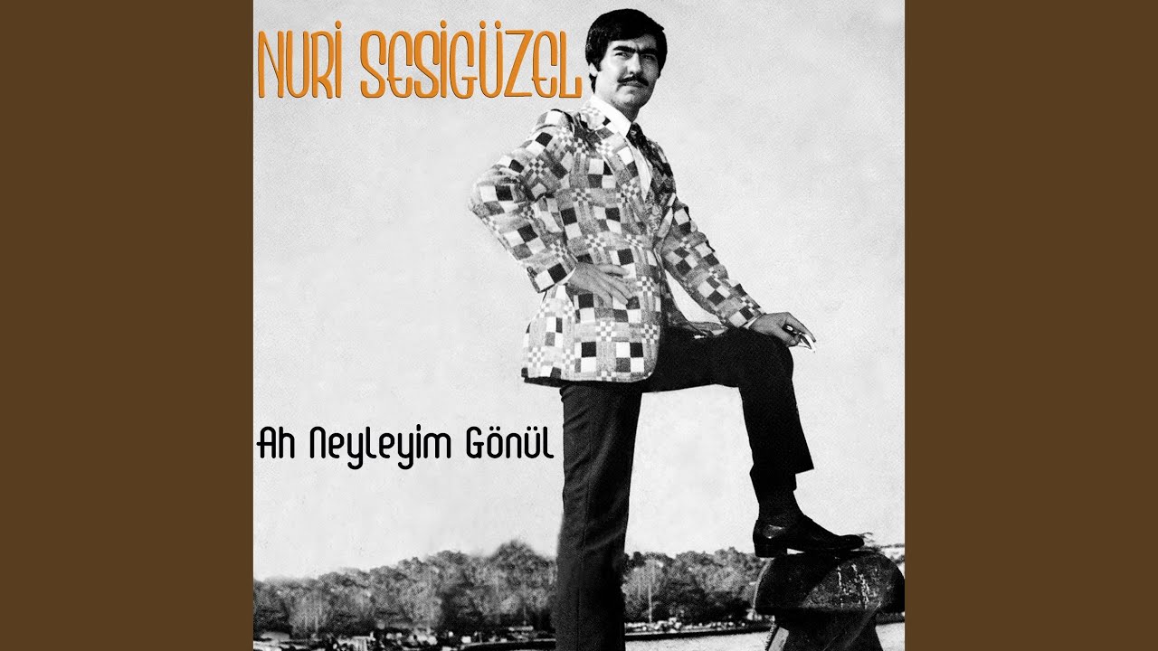 Ah Neyleyim Gönül