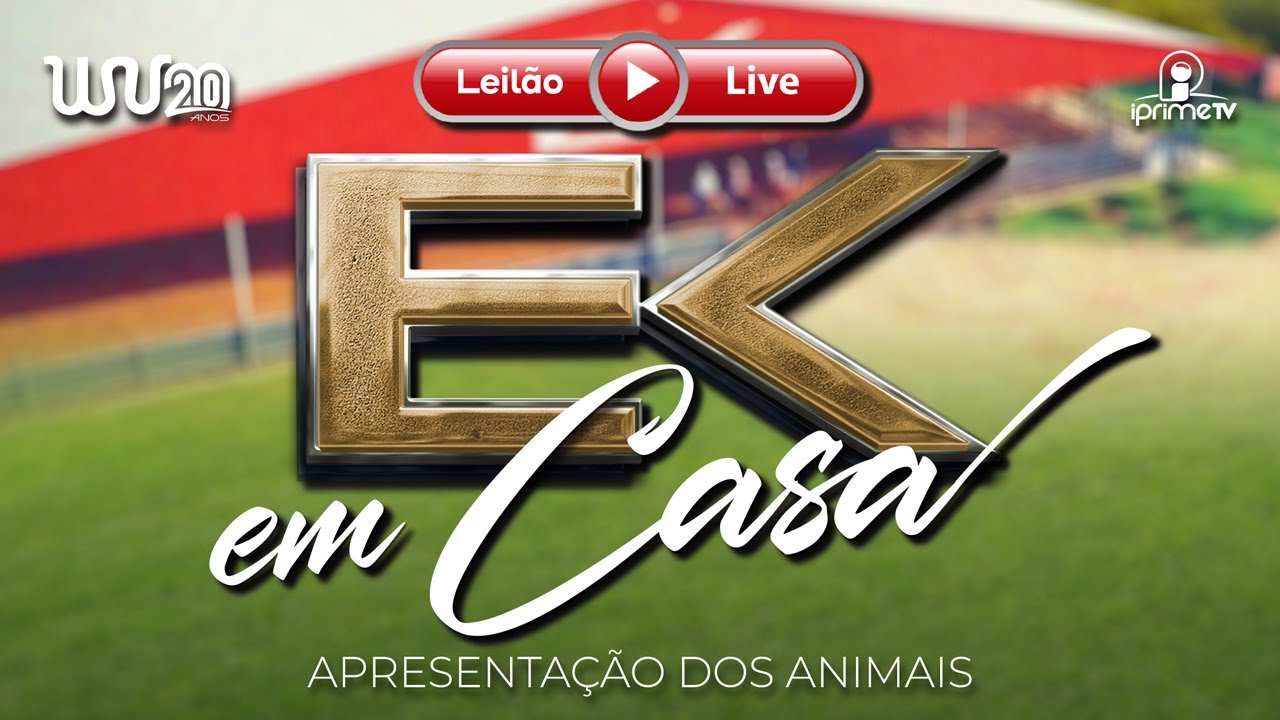 Apresentação dos animais do LEILÃO LIVE EK EM CASA