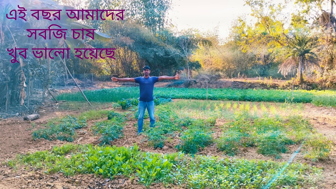 এই বছর আমাদের সবজি চাষ খুব ভালো হয়েছে 🥰 @Ramkrishna Vlogs 