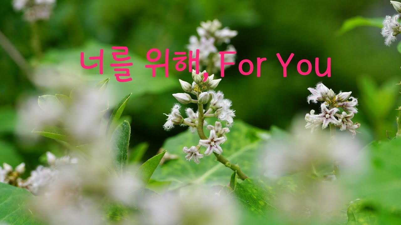 #너를 위해,For You _임재범 #k_pop #Array Mbira Cover ,어레이엠비라 연주