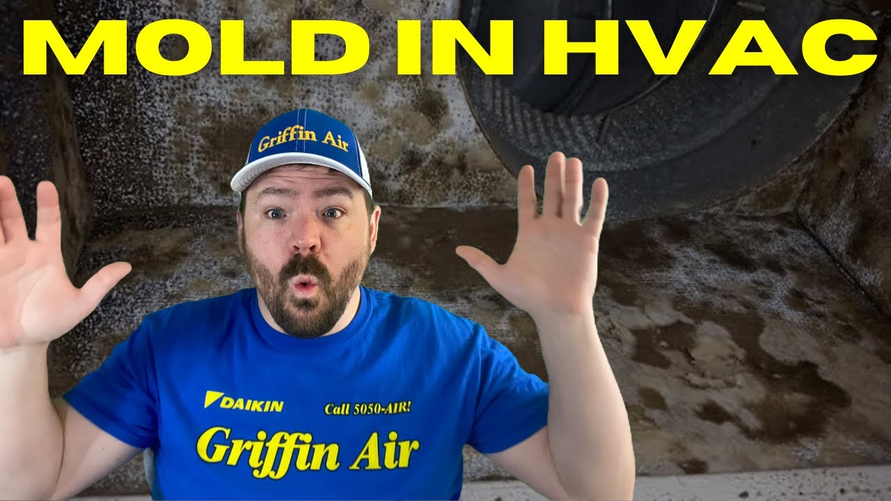 MOLD in HVAC System or Ductwork!