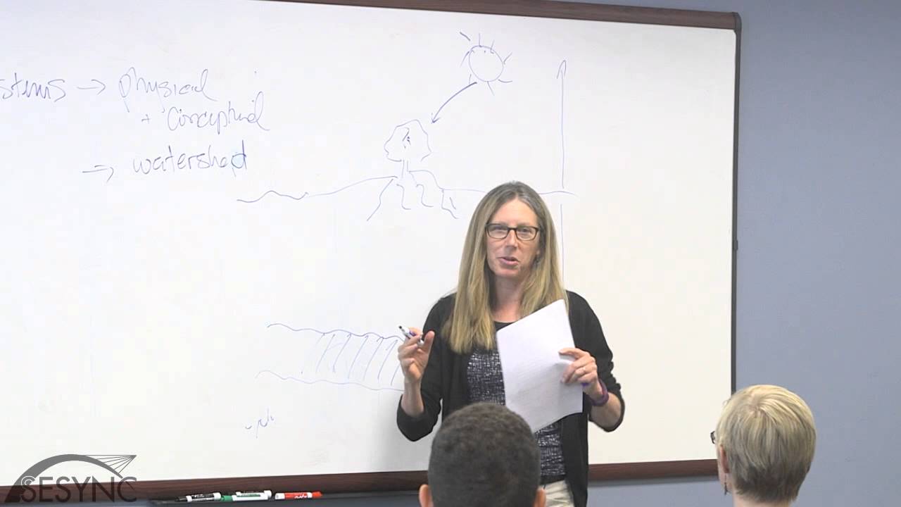 Ecosystem ecology: Theories, methods, lenses